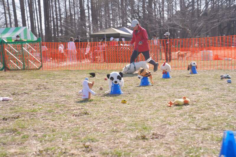 参加型コンテンツ