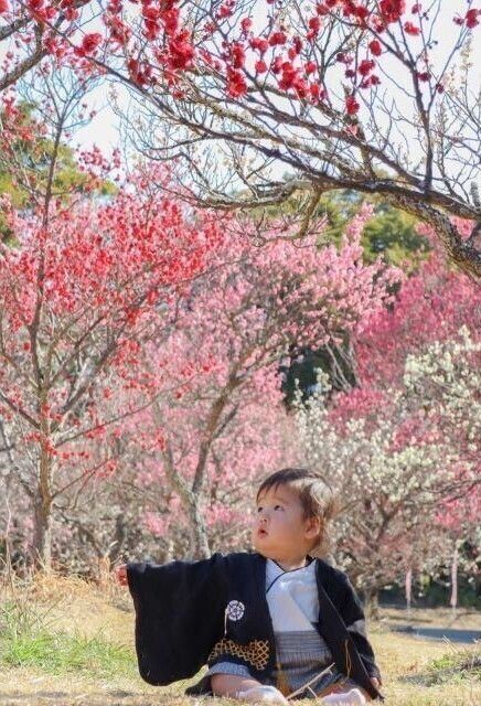 春まつり(うめ)(春まつり実行委員会)