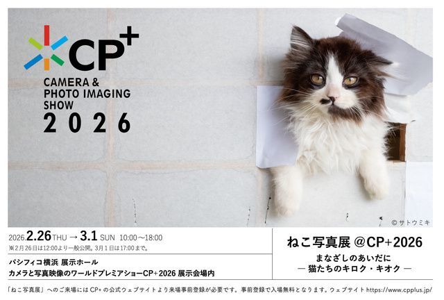 ねこ写真展@CP+2026│(C)サトウミキ