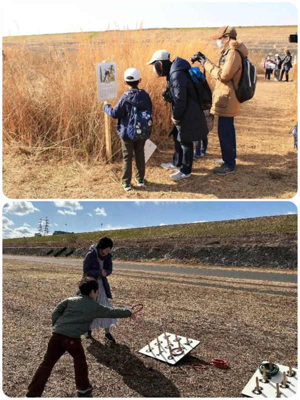 巨大野草迷路(過去の様子)