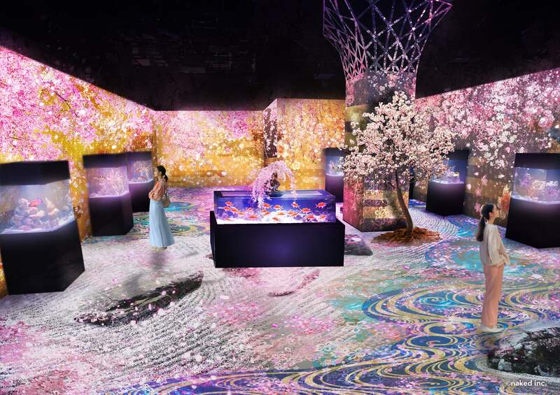 舞桜の庭(まいざくらのにわ)