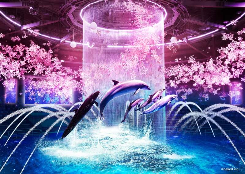 ナイトver.ドルフィンパフォーマンス「桜語り(さくらがたり)」