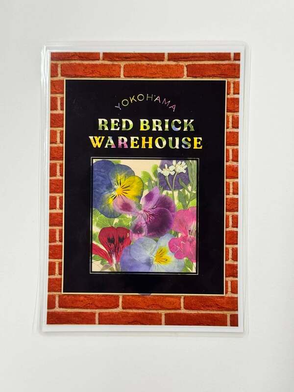 オリジナルポストカード イメージ