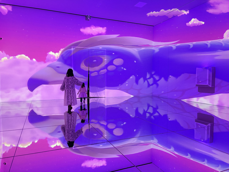 床一面が鏡に覆われており、足元にも映像が映し出されます