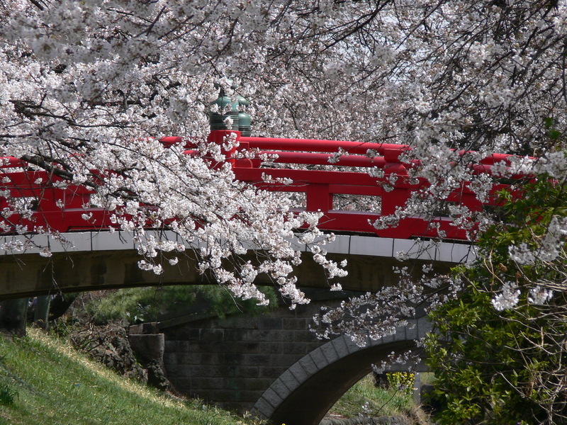 ふかや桜まつり
