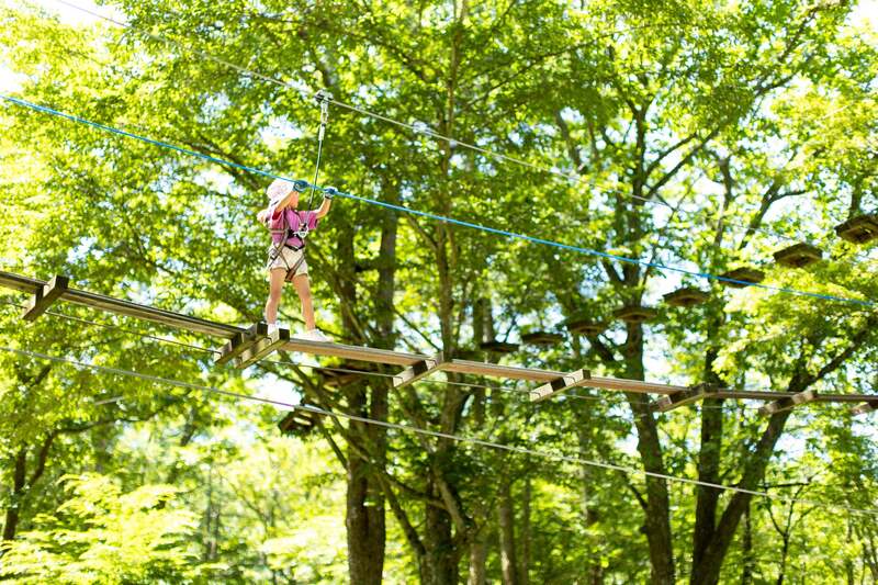 ツリートレッキングなど自然の中で遊べるアクティビティが多数