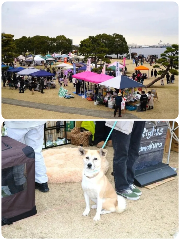 Wan Bonheur 2026(前回開催の様子)