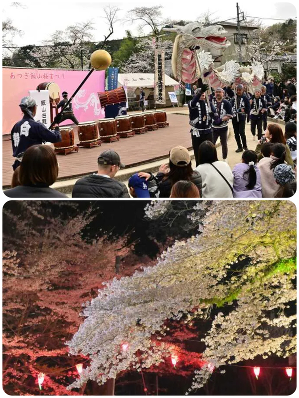 第62回 あつぎ飯山桜まつり