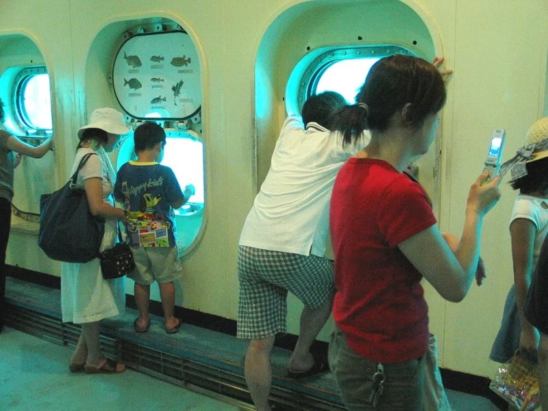 子供から大人まで、窓に釘付け!