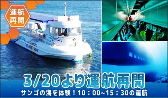 テーブルサンゴや熱帯魚の海をゆったりお散歩できる「半潜水型観光船ステラマリス」