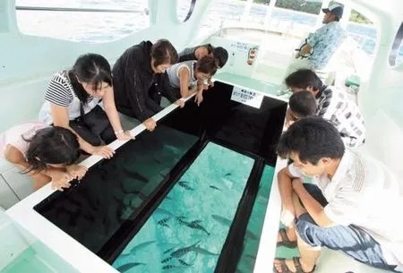 グラスボートに乗船し、海中探索♪