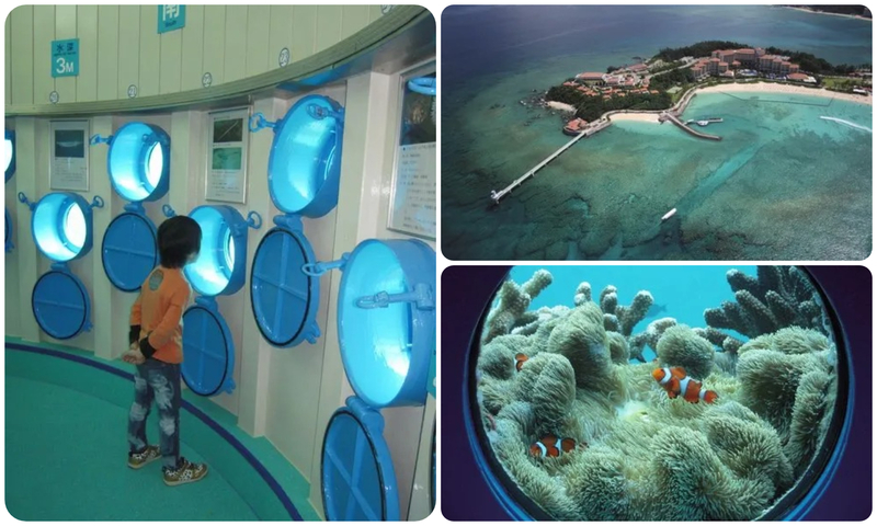 窓から見える魚を追いかけて、館内を1周することも!