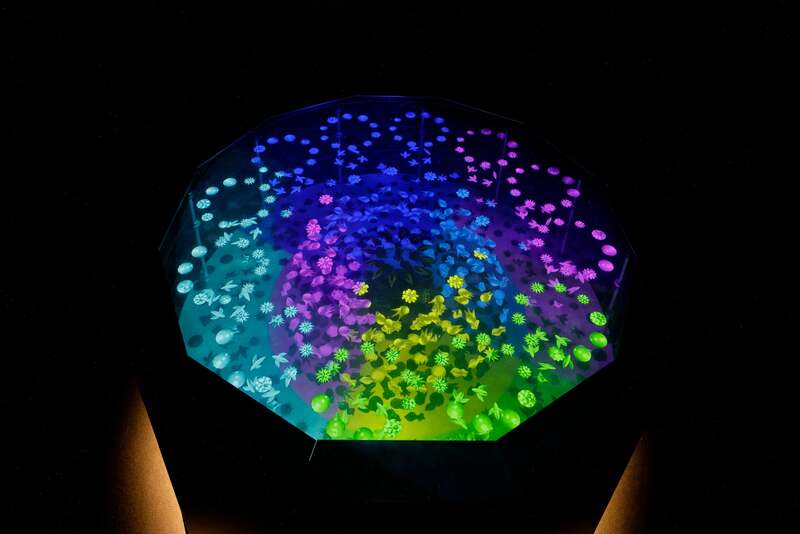 《時間層IV》岩井 俊雄