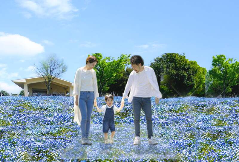 フォトスポット(ネモフィラスカイステージ・イメージ)