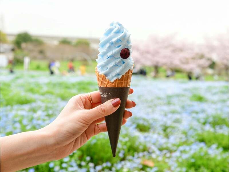 ネモフィラソフト(イメージ)