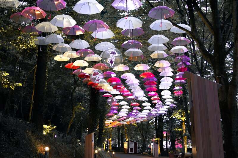 ライトアップ演出