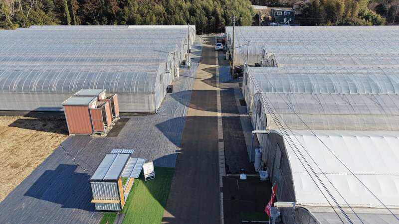 やちまた里山ファーム いちご園