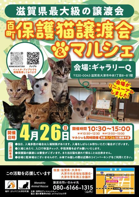 百町保護猫譲渡会&マルシェ
