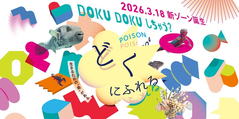 毒の多様性を感じられる、POPで美しい空間です