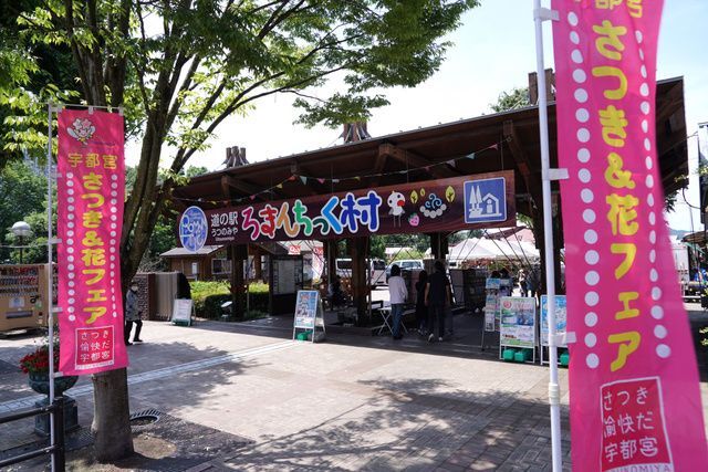 宇都宮さつき&花フェア(一般社団法人 宇都宮観光コンベンション協会)