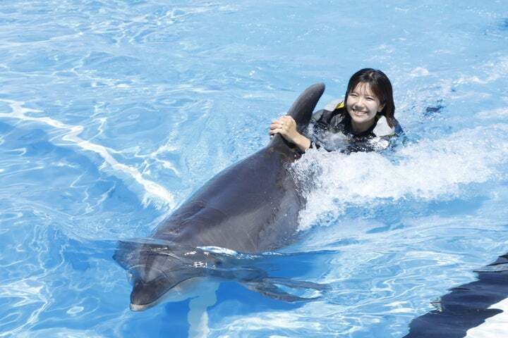 イルカと一緒に泳ぐ様子