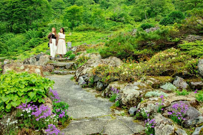 エリア最大級の高山植物園「高山植物園アルプの里」