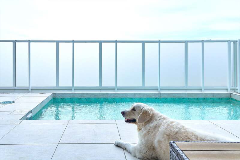 ■愛犬同伴可能■オーシャンフロント