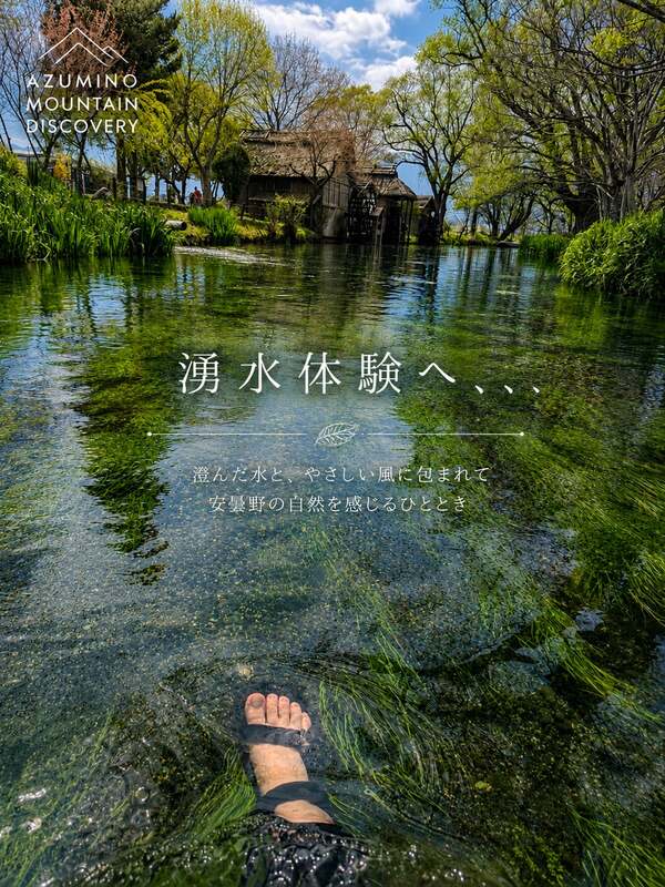 大王わさび農場周辺 透明度抜群の清流