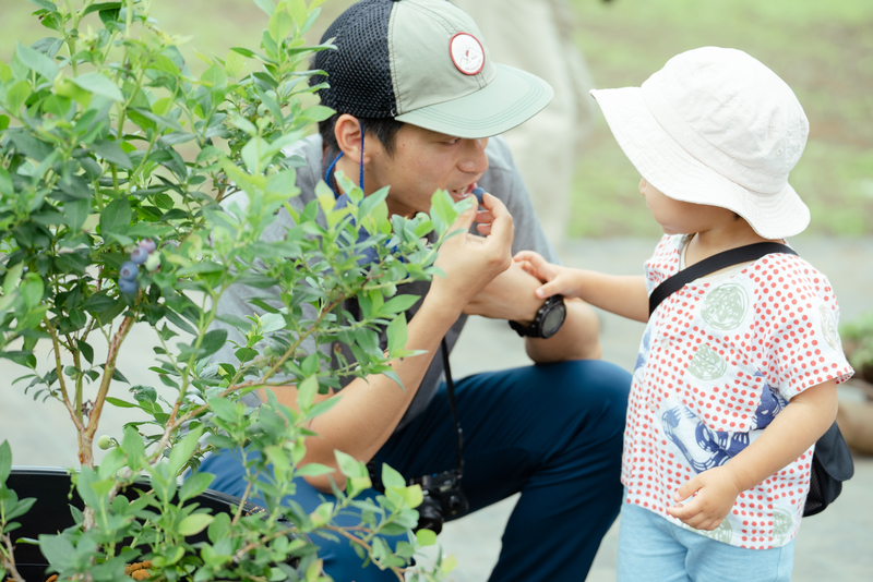 最年少1歳2カ月の子供が自力でブルーベリー狩りを体験した実績があるほど、幅広い年齢層が楽しめる農園として親しまれています