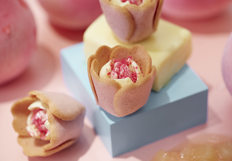 【TOKYO TULIP ROSE】チューリップローズ 白桃バター