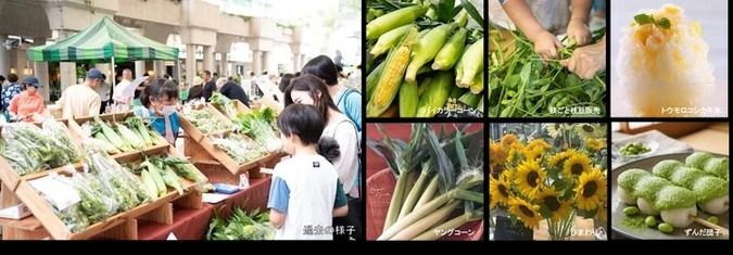 トウモロコシ&枝豆フェスティバル