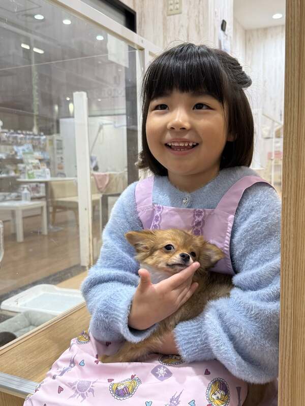 ドッグトレーナー体験(ペットショップの店員になってみよう!)