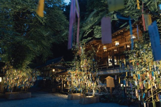 貴船神社 七夕笹飾りライトアップ(過去開催の様子)