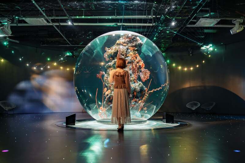洞窟や精霊の森など8つのテーマに彩られたアトアの館内