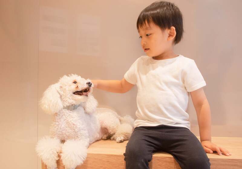 Moff animal cafe ららぽーと立川立飛店