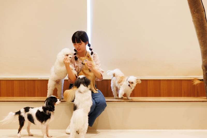 Moff animal cafe ららぽーと立川立飛店