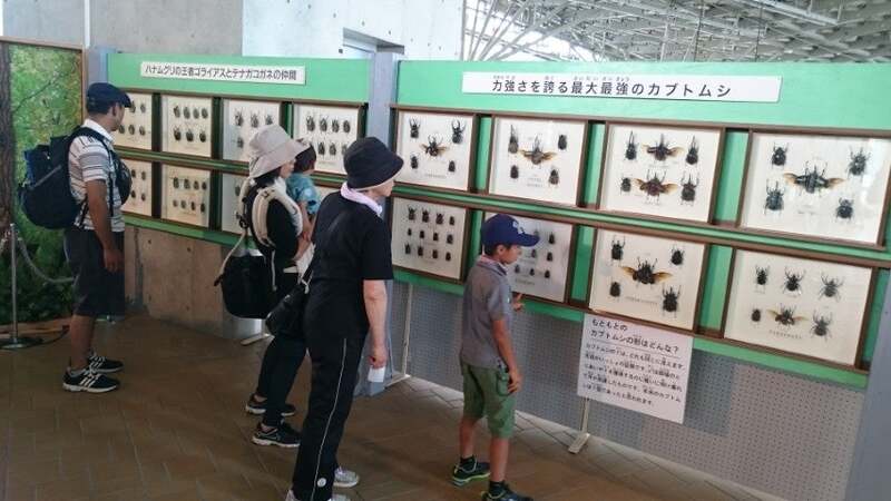 標本展示(他公園での開催写真)