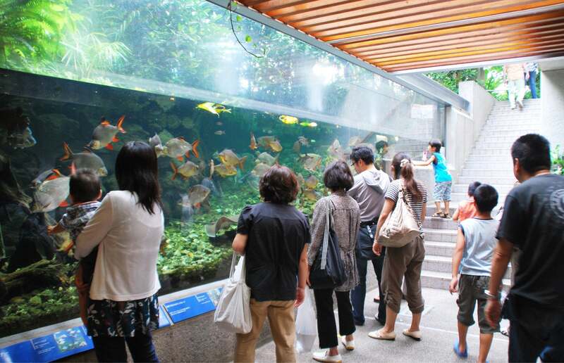 ミニ水族館