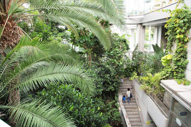 立体的な温室が人気の「板橋区立熱帯環境植物館」