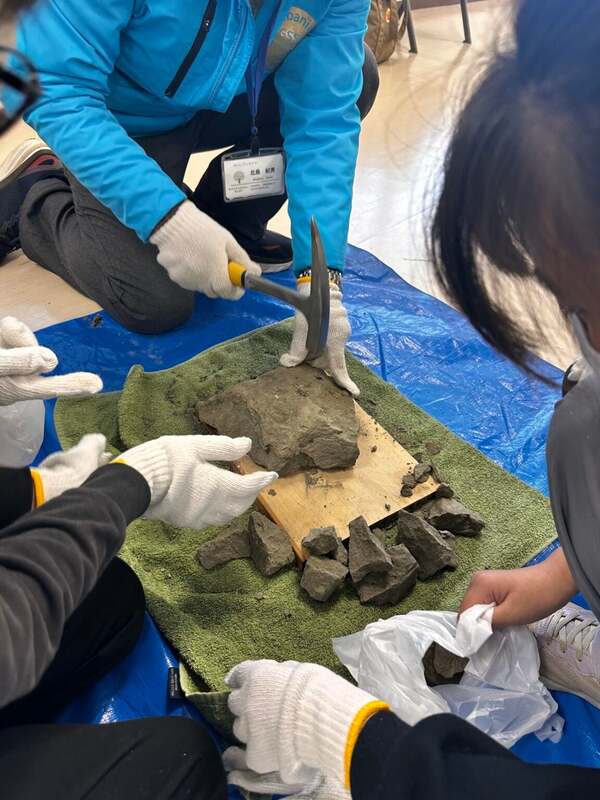 チバニアン時代の化石探し体験