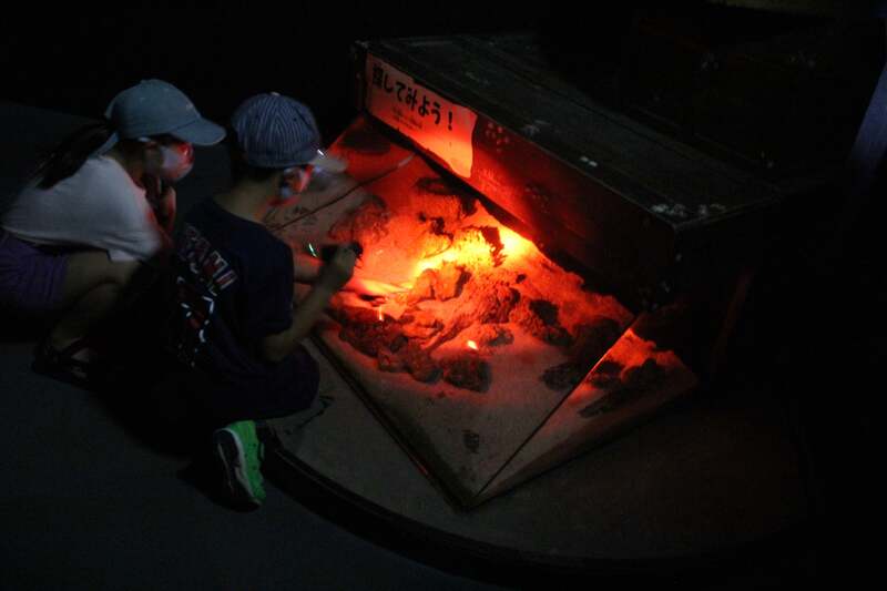 懐中電灯を使って魚を探してみよう