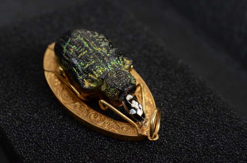 ホウソキゾウムシのペンダント