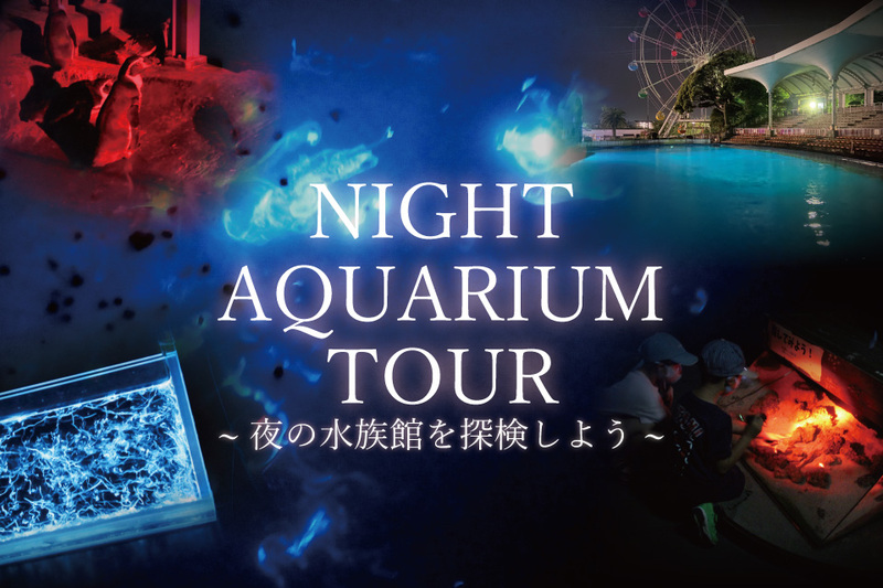 懐中電灯片手に夜の水族館へ