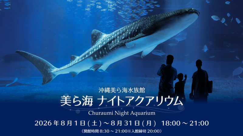 夏の夜 水族館で特別な時間を