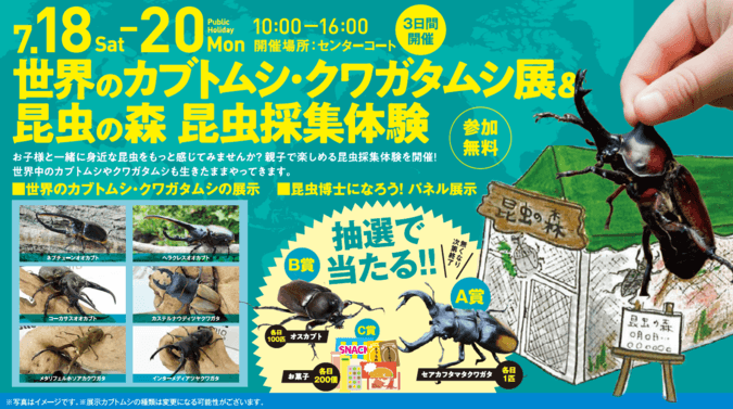 世界のカブトムシ・クワガタムシ展&昆虫採集体験