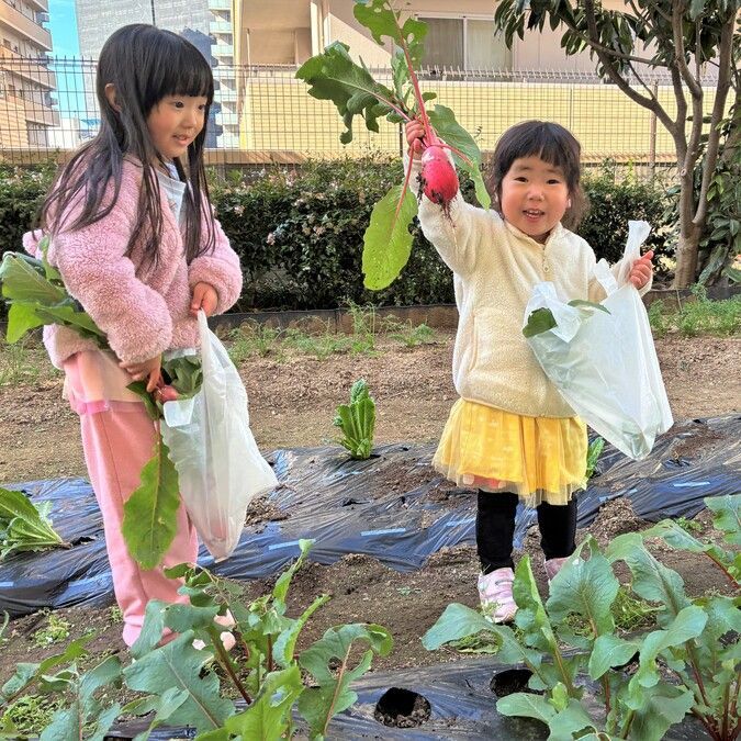 Q's farm オープンファーム