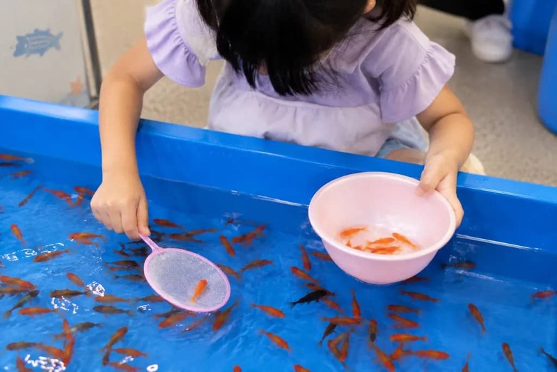 ふれあい移動水族館 in エディオン伊丹店