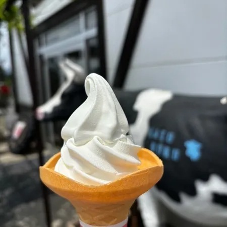 加藤牧場の手づくりアイス バッフィ ソフトクリーム