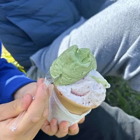 榎本牧場 ジェラート