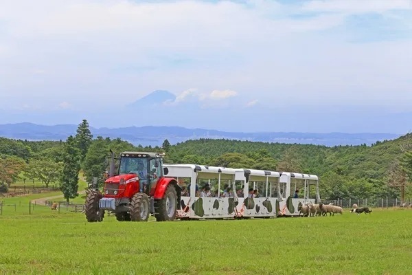 マザー牧場